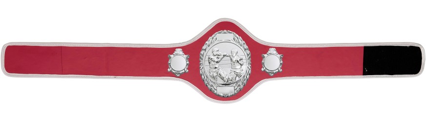 BOXING CHAMPIONSHIP BELT-PRO286/S/BOXS-10+ COLOURS